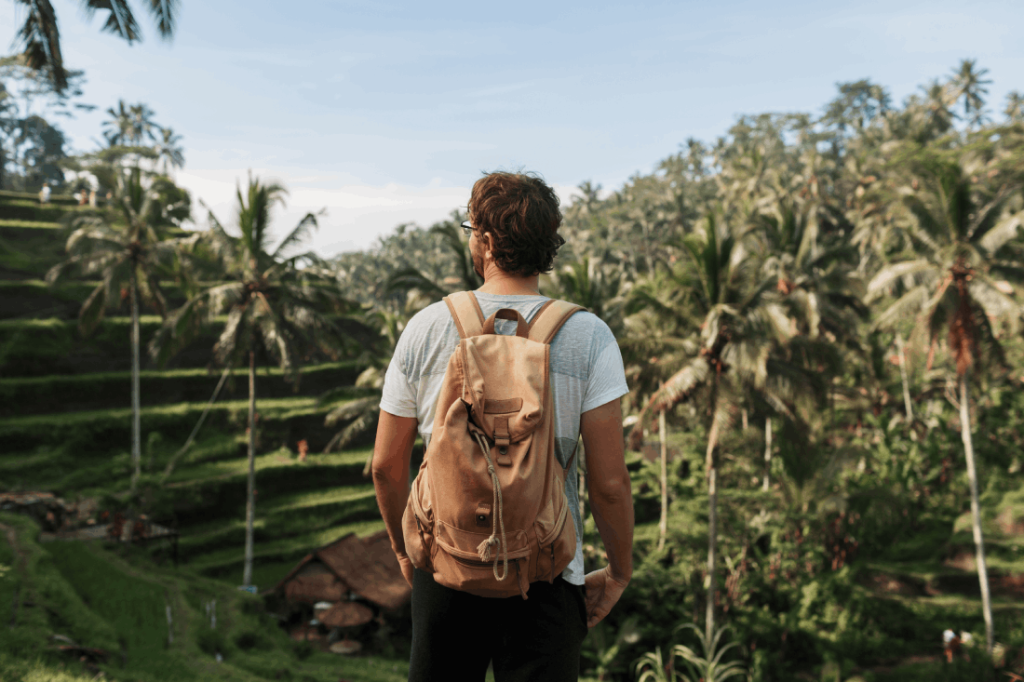 back view man explorer with travel backpack-enjoying natural environment green rise plantation in Honduras