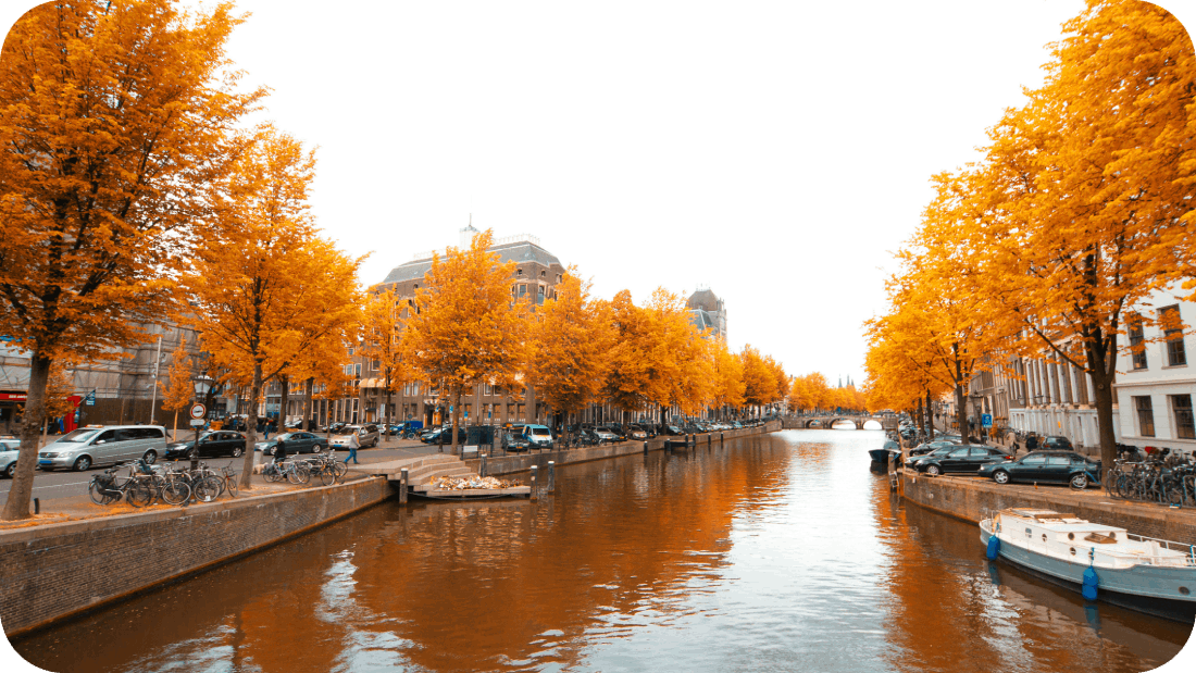 orange leaves of trees by the canal in Amsterdam 