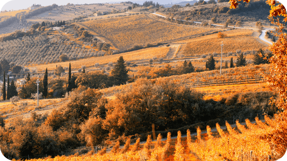 Tuscany landscape in autumn