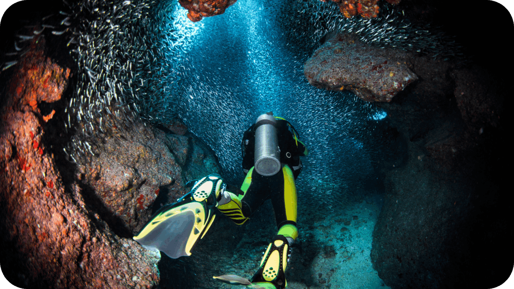 scuba diver surrounded with schools of silverside fishes in the sea.