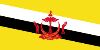 flag image