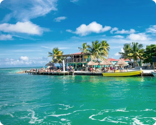 Cheap International Calls to Belize | Slick