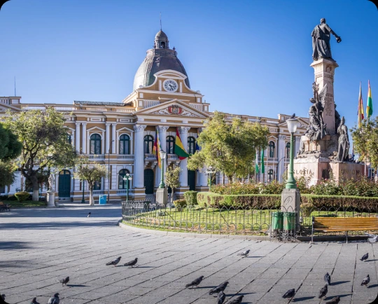 Cheap International Calls to Bolivia | Slick