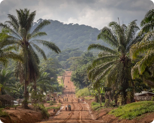 Cheap International Calls to Congo | Slick