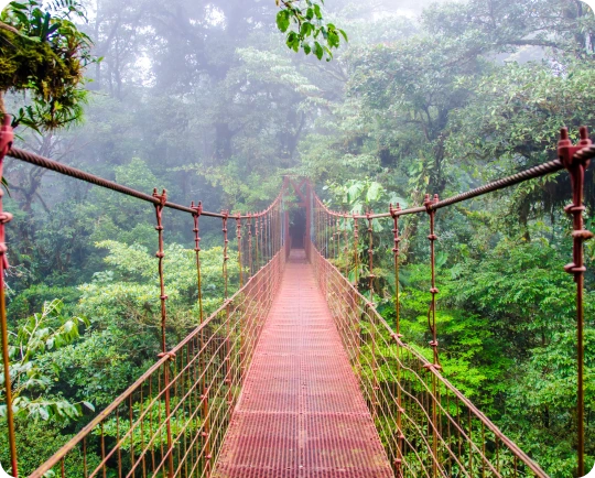 Cheap International Calls to Costa Rica | Low Rate