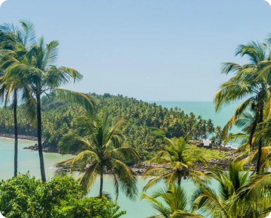 Cheap International Calls to French Guiana | Low Rate