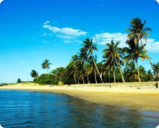 Cheap Calls to Mozambique ? Affordable Int?l Rates | Slick