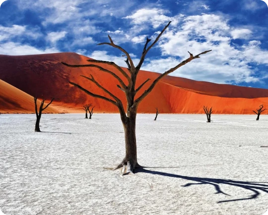 Cheap Calls to Namibia ? Low International Rates | Slick