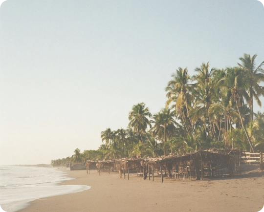 Cheap International Calls to Nicaragua ? Save Big | Slick