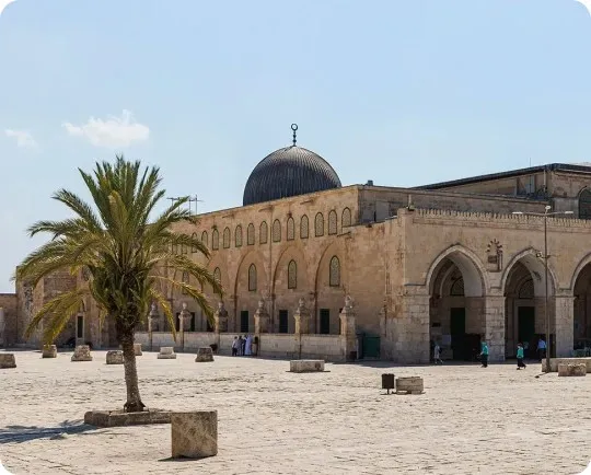 Cheap International Calls to Palestine (+970) | Slick.net