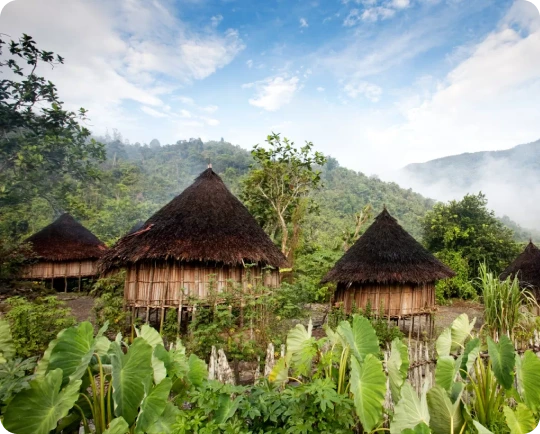 eSIM mobile data plan for Papua New Guinea | Slick