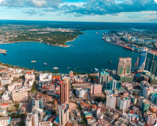 Cheap International Calls to Tanzania (+255) | Slick