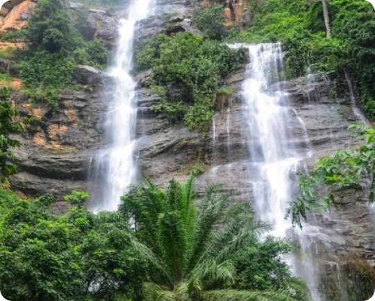 Cheap International Calls to Togo (+228) | Slick