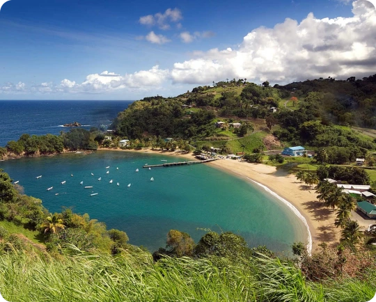 Cheap International Calls to Trinidad and Tobago (+1-868) | Slick