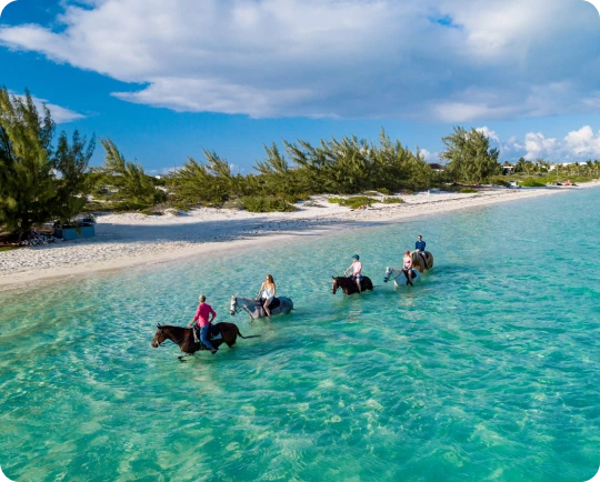 Cheap International Calls to Turks and Caicos (+1-649) | Slick